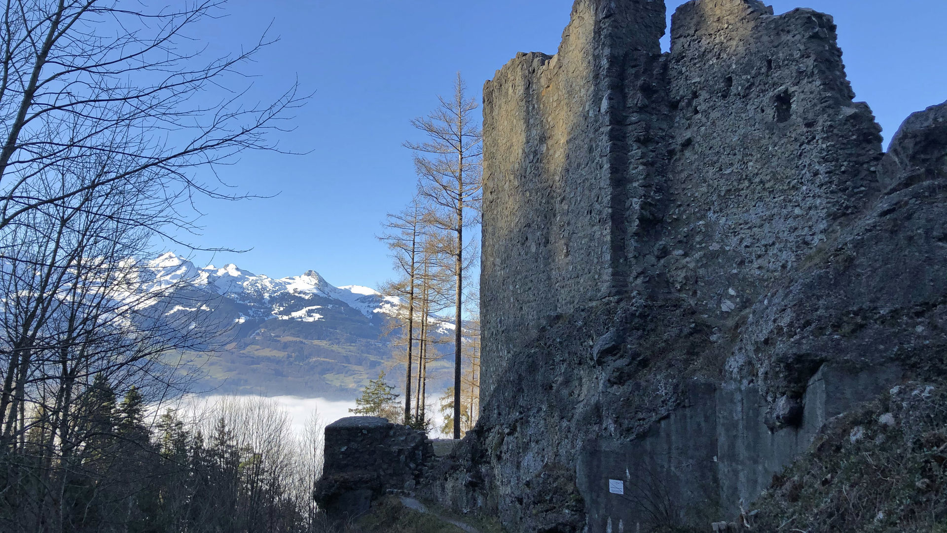 Wildschloss Vaduz