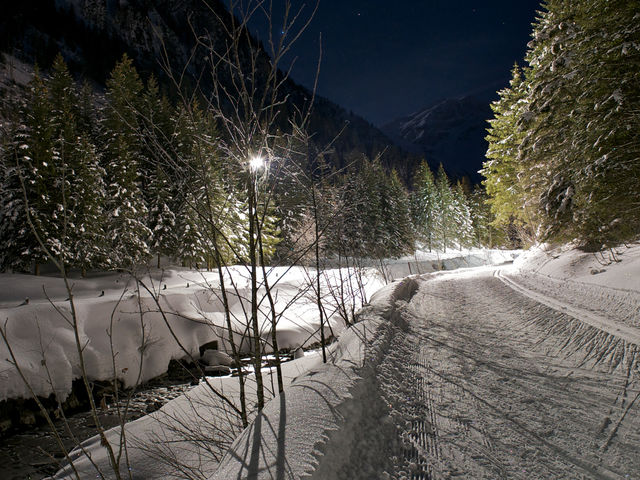 Cross-country skiing by moonlight