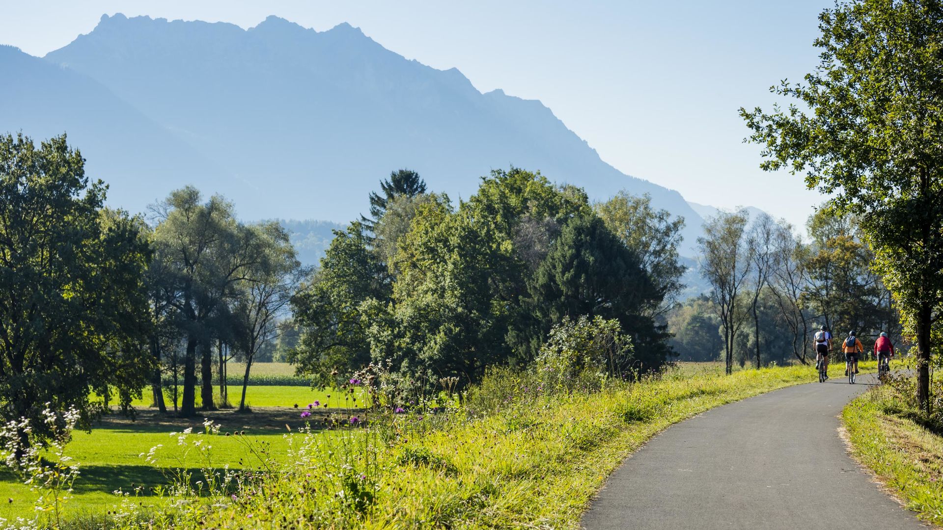 Bike Tour