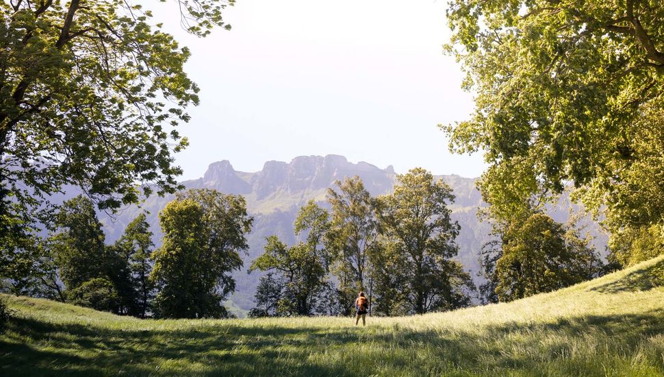 Liechtenstein-Weg, Eschnerberg