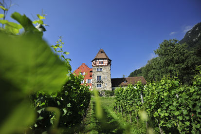 Das Rote Haus in Vaduz