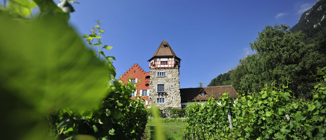 Das Rote Haus in Vaduz