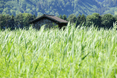 Nature reserve inLiechtenstein