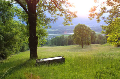 Panoramaweg Triesen Brunnen