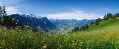 Panorama auf das Rheintal