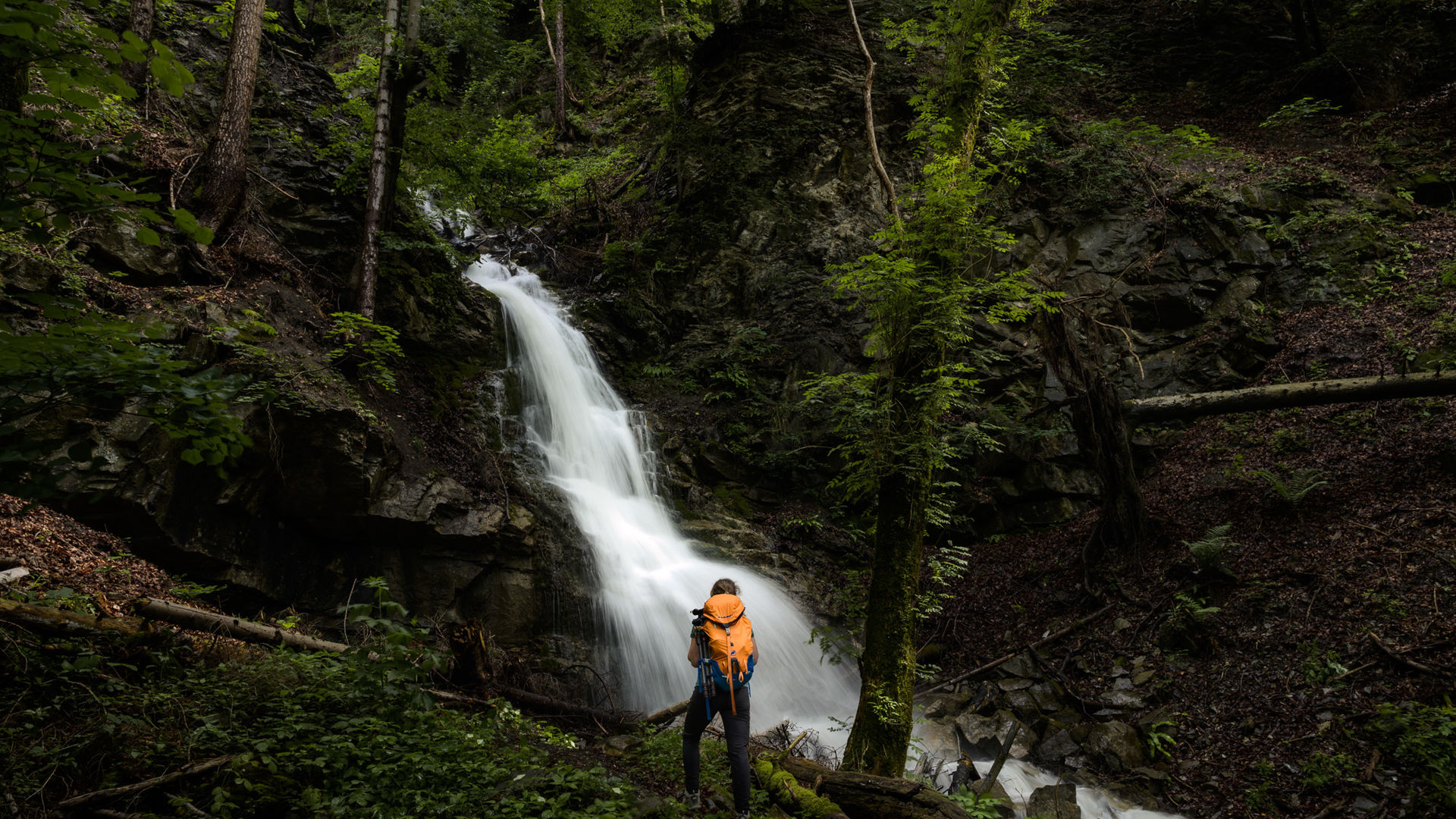 Waterfall