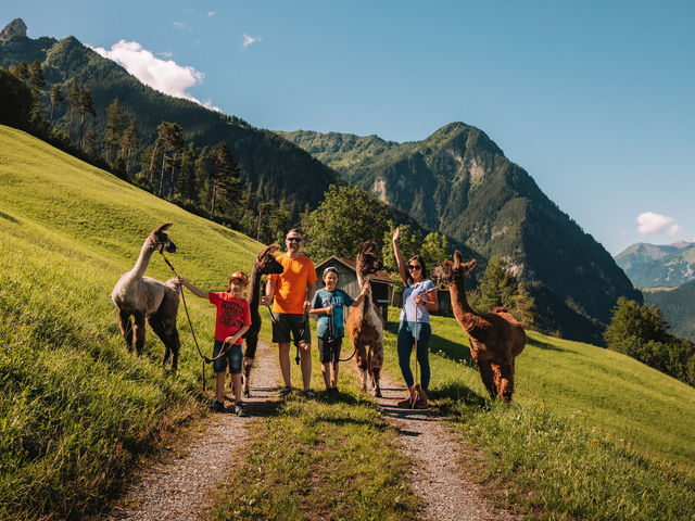 Lama- und Alpaka-Trekking