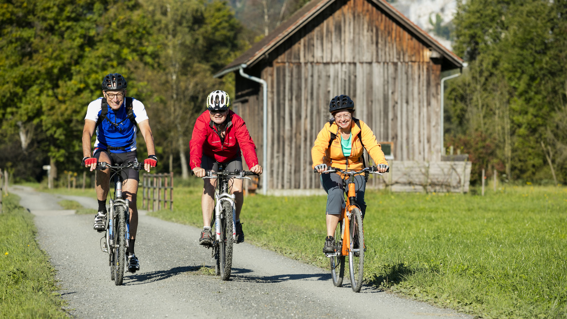 Bike Tour