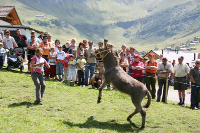 Donkey Festival in Malbun