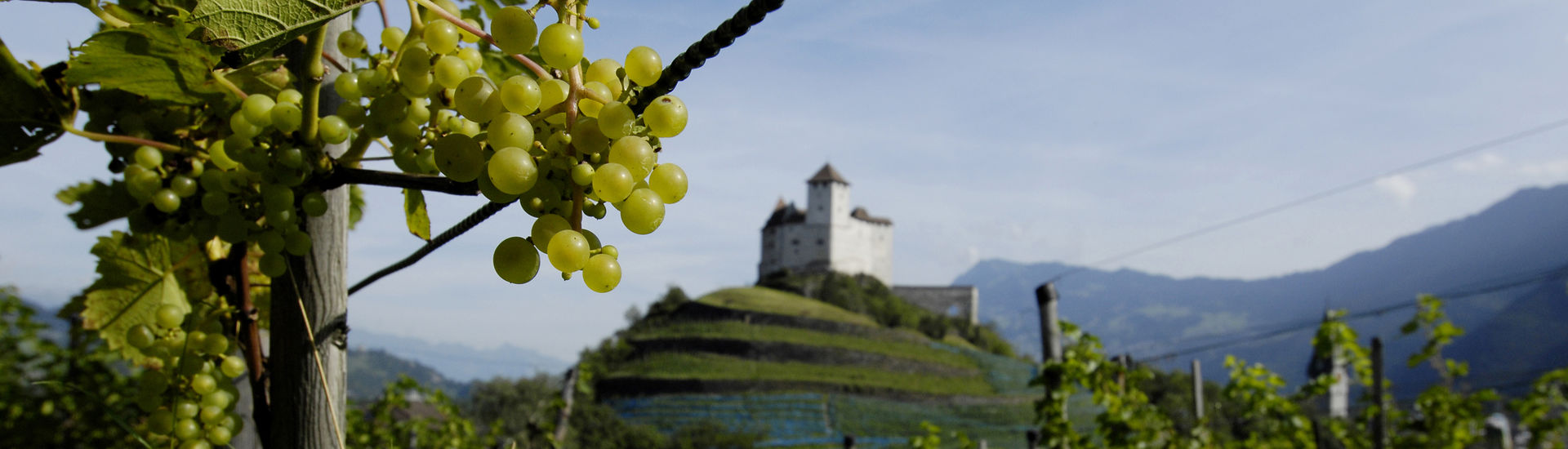 Kulinarik Burg Gutenberg