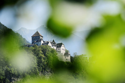 Schloss Vaduz