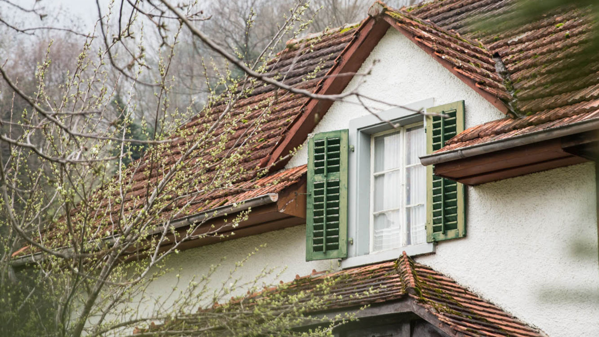 Liechtenstein house