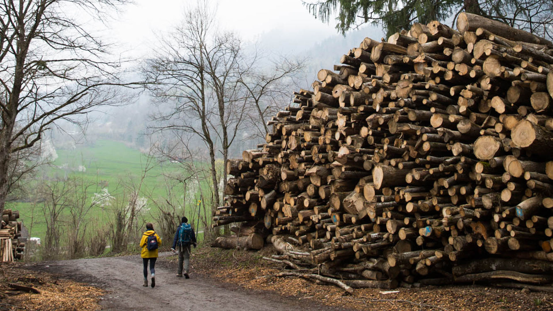 Liechtenstein Trail