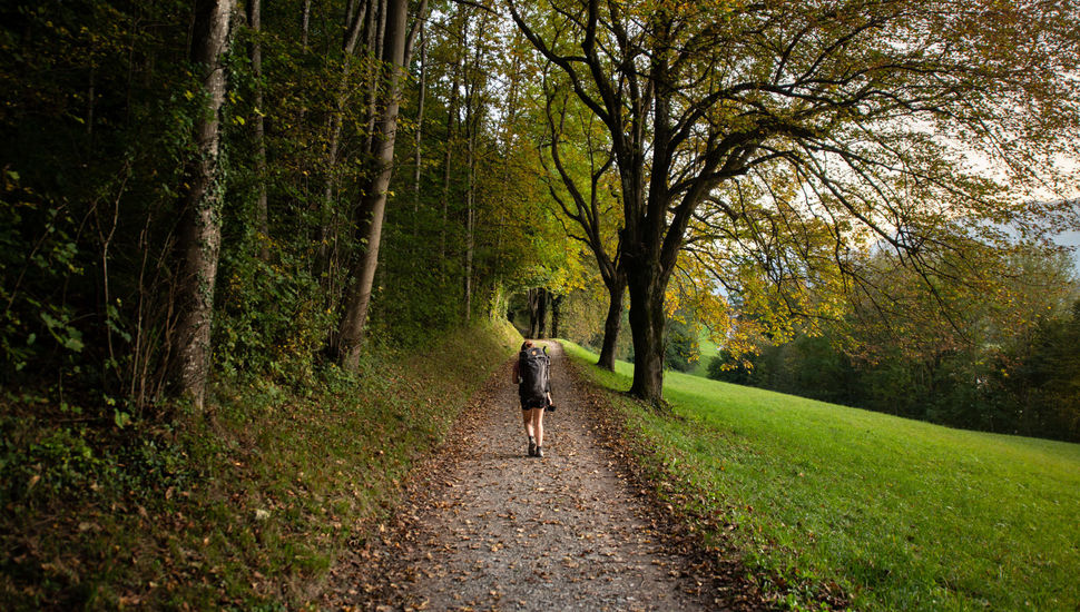 Liechtenstein Trail