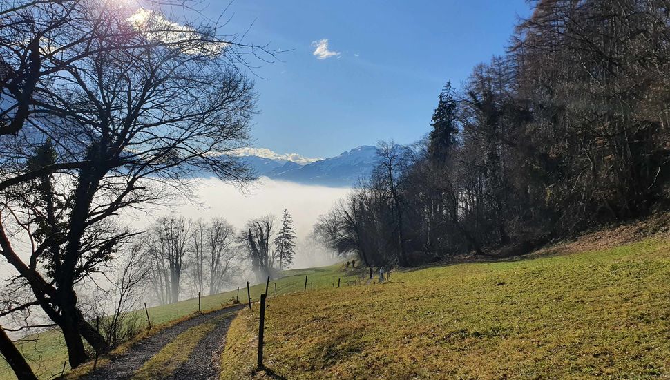 Liechtenstein Weg Schellenberg