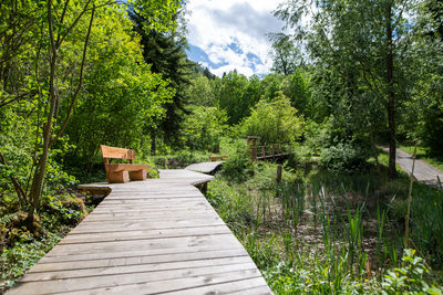 Waldlernpfad Schaanwald