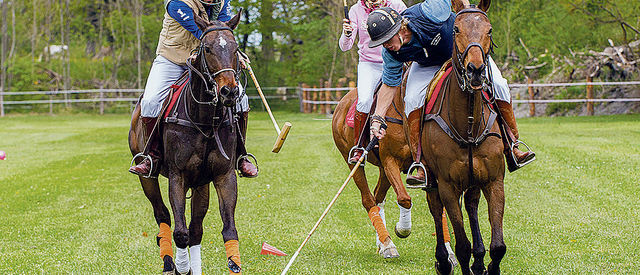 Polo spielen in Liechtenstein