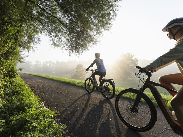 E-Bike Liechtenstein Ruggell Riet Nature Reserve