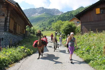 Lama und Alpaka Trekking 