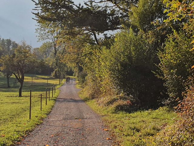 Kinderwagenweg Bofel