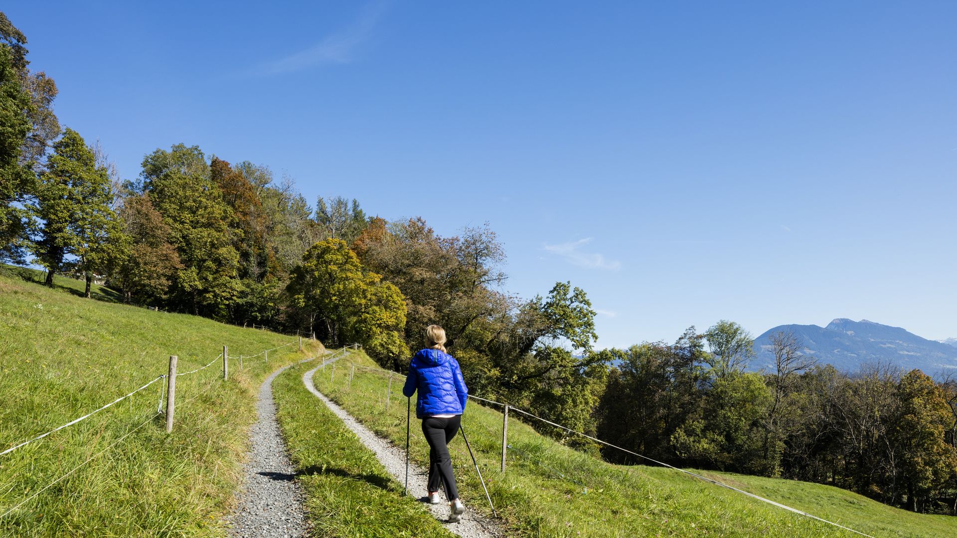 Liechtenstein-Weg zwischen Mauren und Schellenberg