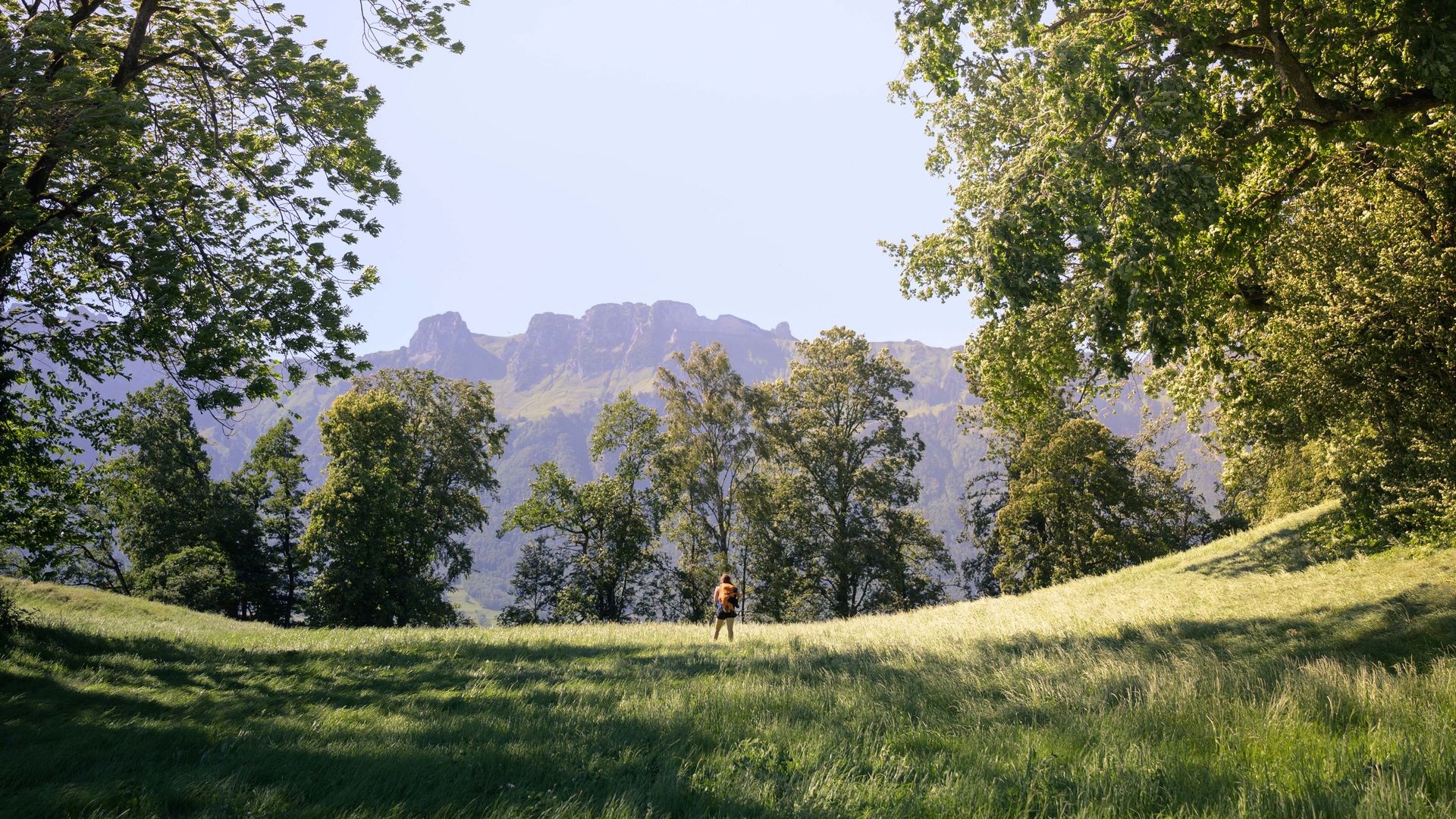 Liechtenstein-Weg Schellenberg