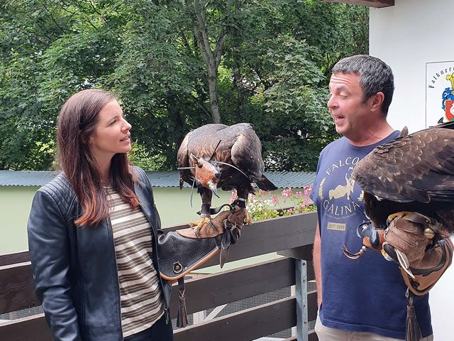 Falconry