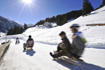 Tobogganing