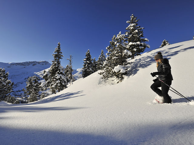 Snowshoe hike