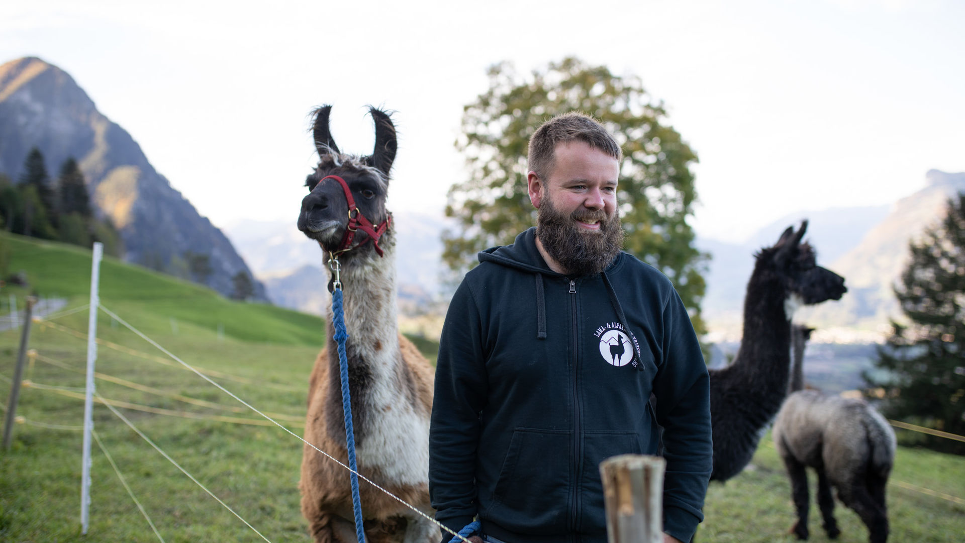Alpakatour mit Marc Schädler