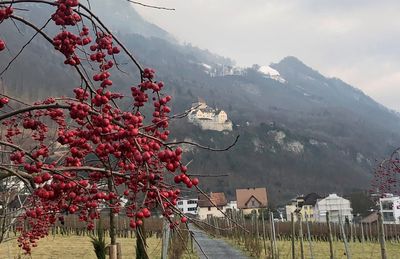 Schloss Hintergrund