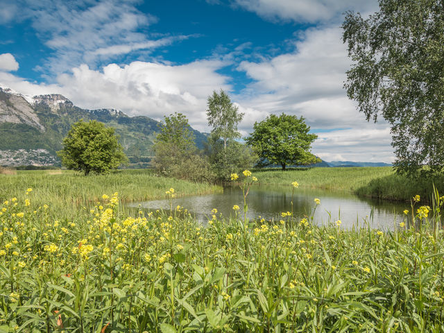 Ausnüchterungsspaziergang