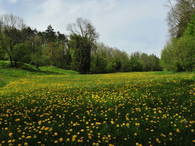 Höhenweg Eschnerberg